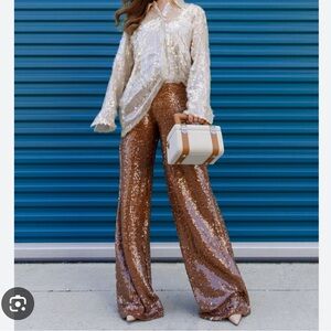 Zara Brown Sequin Wide Leg Pants